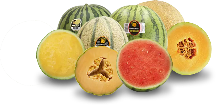 Ourfruit Melons 2